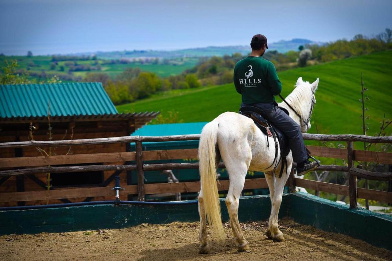 Hotel 3 Hills Boutique - The Ranch Experience Trilofos Esterno foto