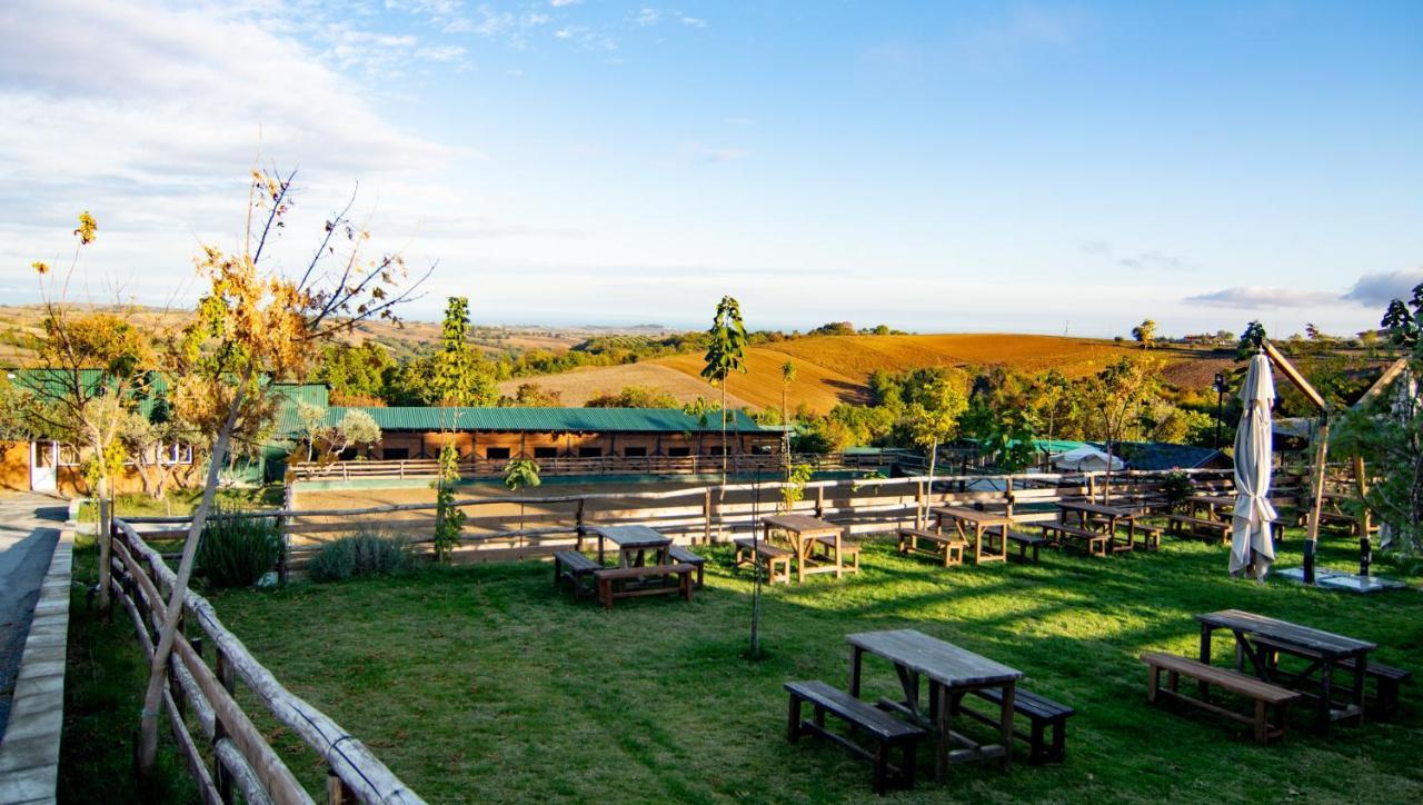 Hotel 3 Hills Boutique - The Ranch Experience Trilofos Esterno foto